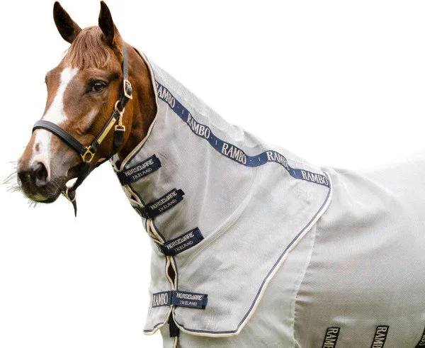 fundis-equestrian202607250444283323591
