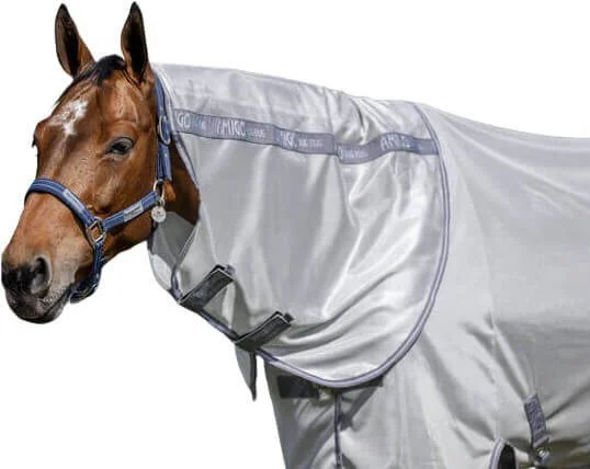 fundis-equestrian202607250445263323704