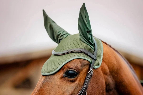 fundis-equestrian202607250446563323871