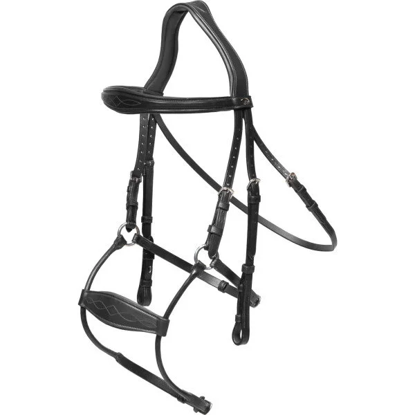 fundis-equestrian202607250451053324336