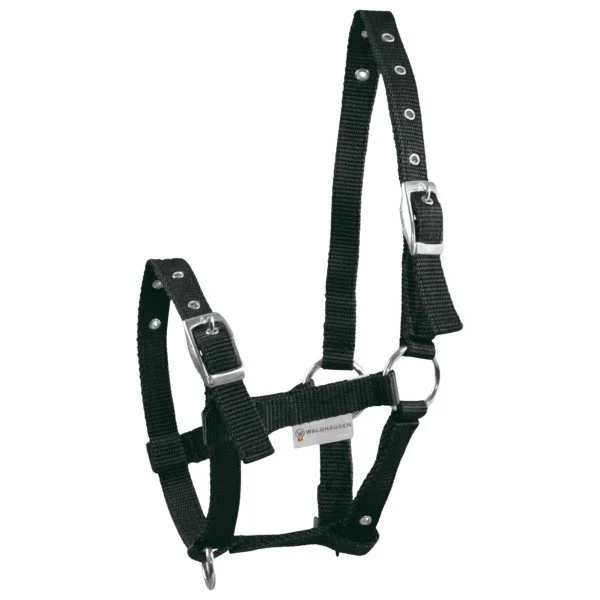 fundis-equestrian202607250453183324547