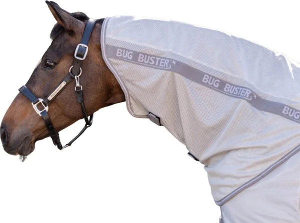 fundis-equestrian202607250454563324754