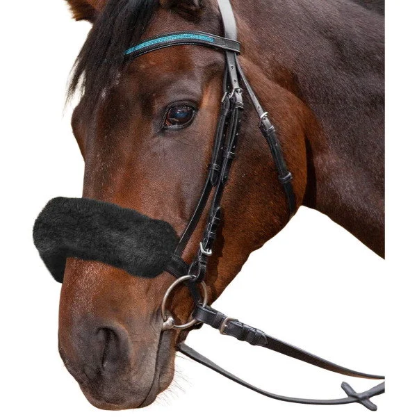 fundis-equestrian202607250454593324757
