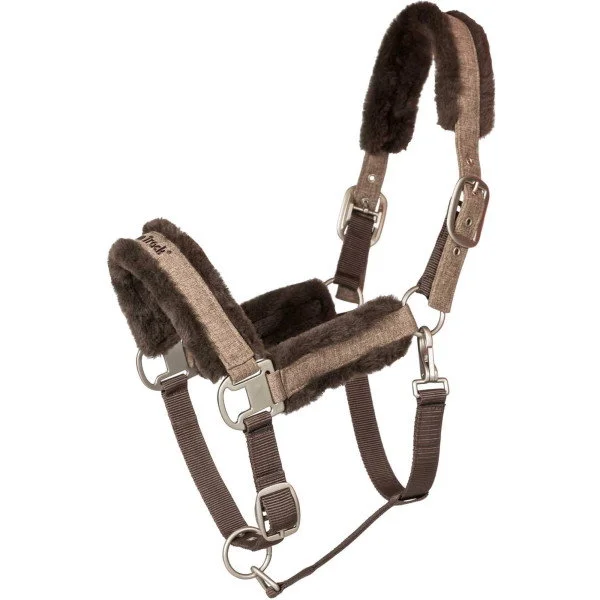fundis-equestrian202607250456013324881