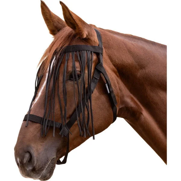 fundis-equestrian202607250457583325097