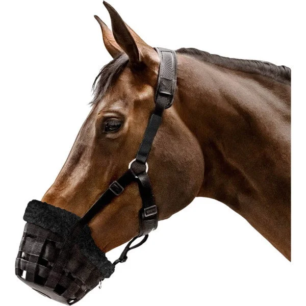 fundis-equestrian202607250458043325104