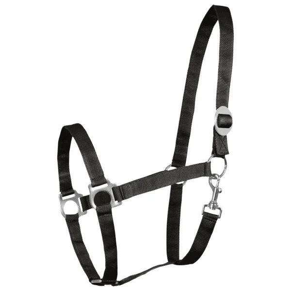 fundis-equestrian202607250458113325118