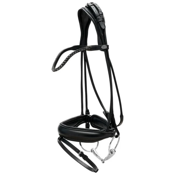 fundis-equestrian202607250502423325584