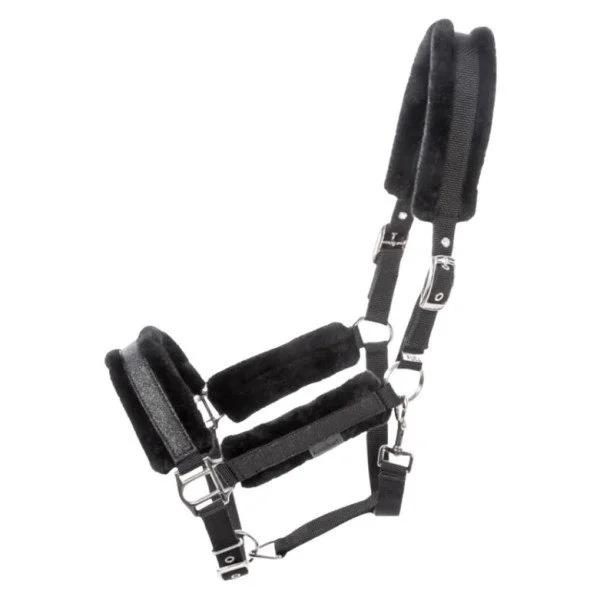 fundis-equestrian202607250503303325669