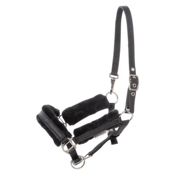 fundis-equestrian202607250503343325676