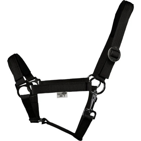fundis-equestrian202607250503473325697