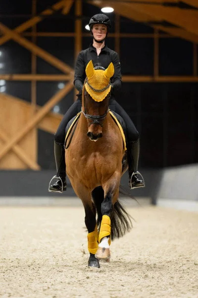 fundis-equestrian202607250511143326488