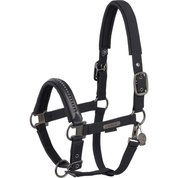 fundis-equestrian202607250511353326518