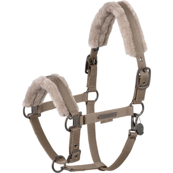 fundis-equestrian202607250511403326524