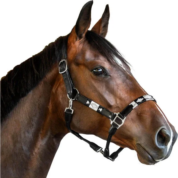 fundis-equestrian202607250513493326733