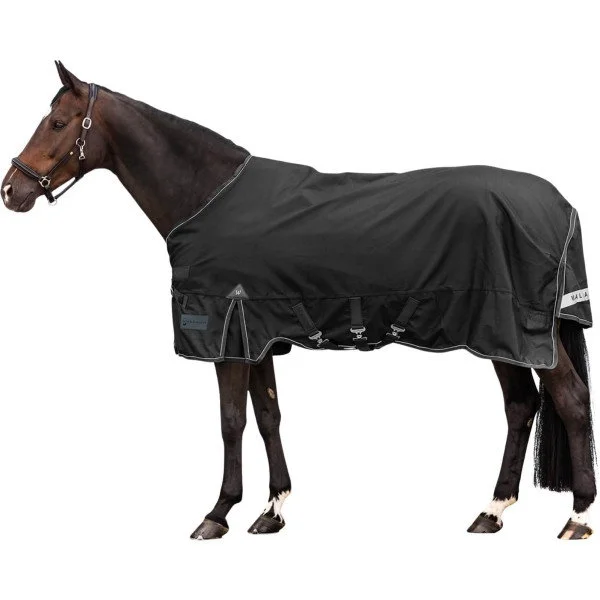 fundis-equestrian202607250515333326926