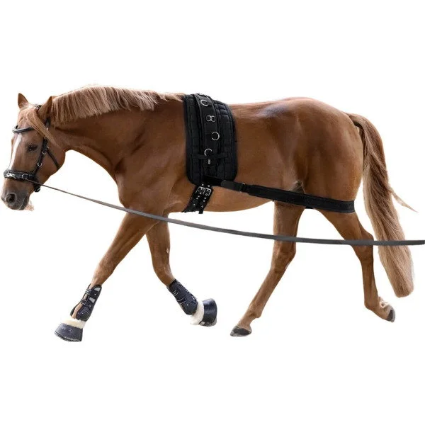 fundis-equestrian202607250516083326993