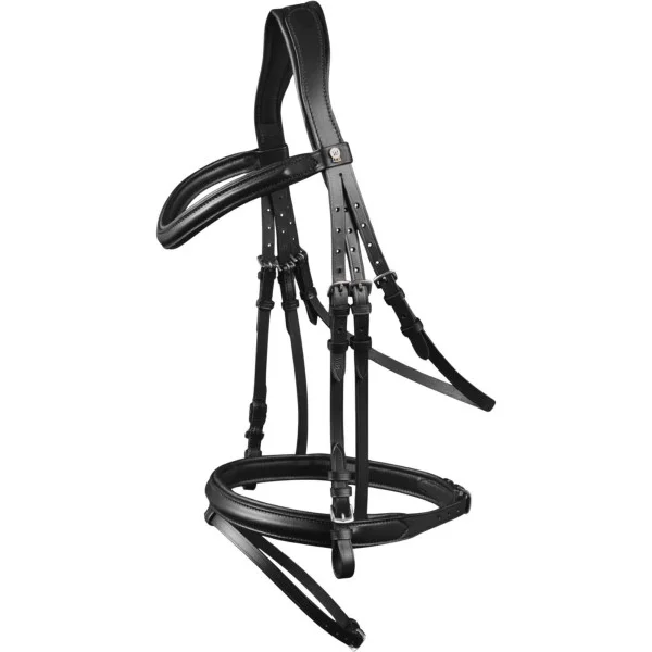 fundis-equestrian202607250516253327027