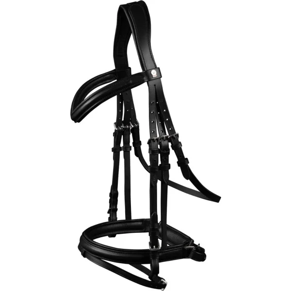 fundis-equestrian202607250516283327031