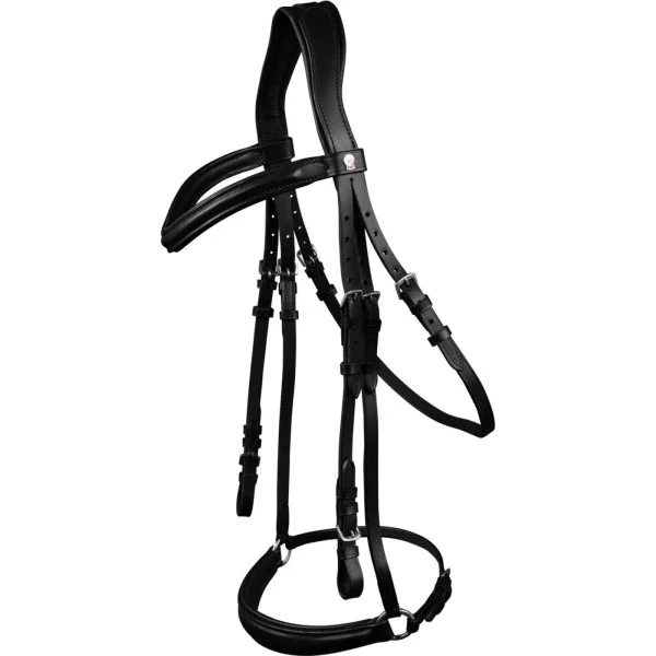 fundis-equestrian202607250516313327036