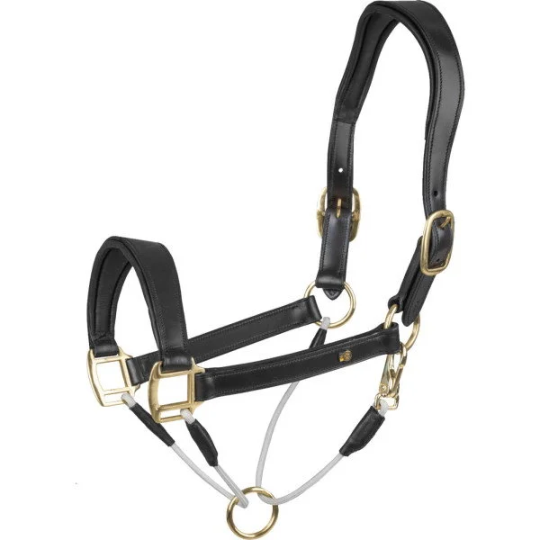 fundis-equestrian202607250517043327096