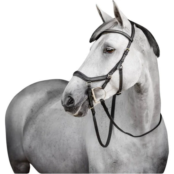fundis-equestrian202607250519053327315