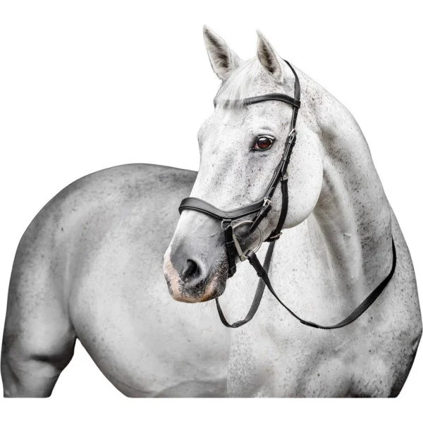 fundis-equestrian202607250519063327319