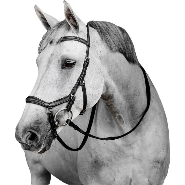 fundis-equestrian202607250519093327326