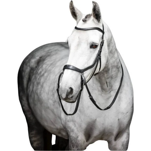 fundis-equestrian202607250519093327328