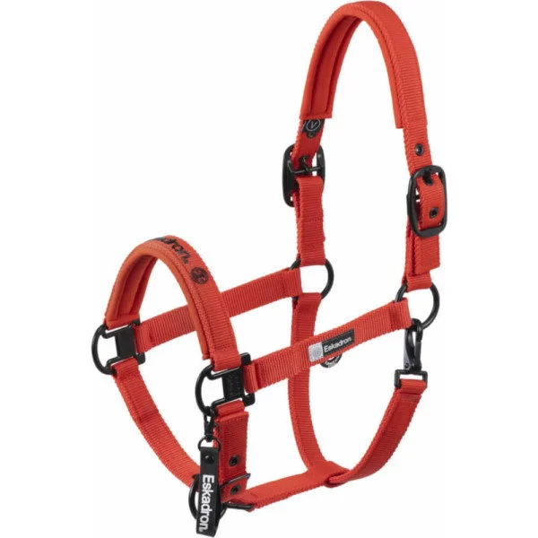fundis-equestrian202607250519323327369