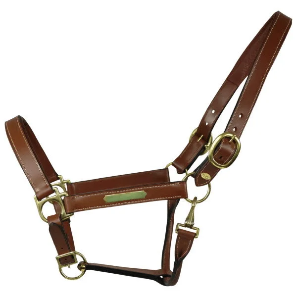 fundis-equestrian202607250521193327561