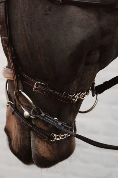 fundis-equestrian202607250524113327857