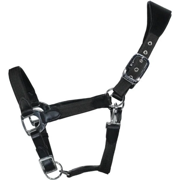 fundis-equestrian202607250525523328033
