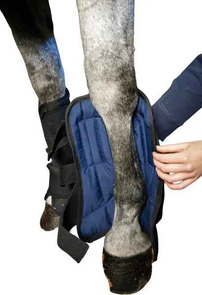 fundis-equestrian202607250527433328249