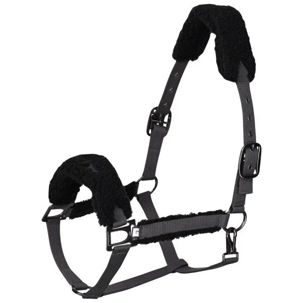 fundis-equestrian202607250527473328258