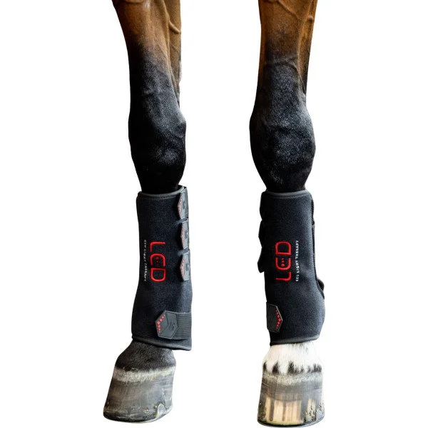 fundis-equestrian202607250528123328310