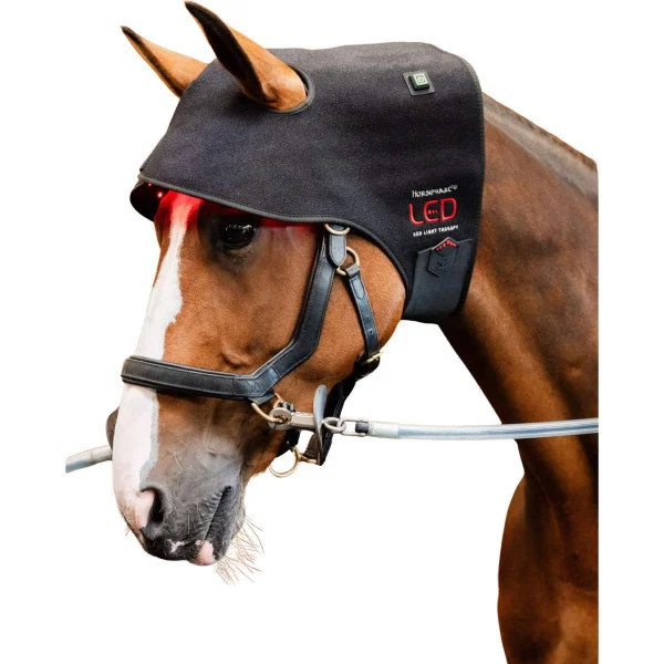 fundis-equestrian202607250528433328354