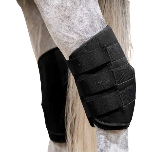 fundis-equestrian202607250528483328362