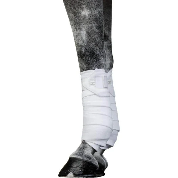 fundis-equestrian202607250529043328386