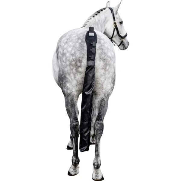 fundis-equestrian202607250530213328530