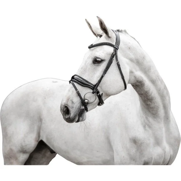 fundis-equestrian202607250530243328541