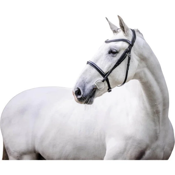 fundis-equestrian202607250530343328561