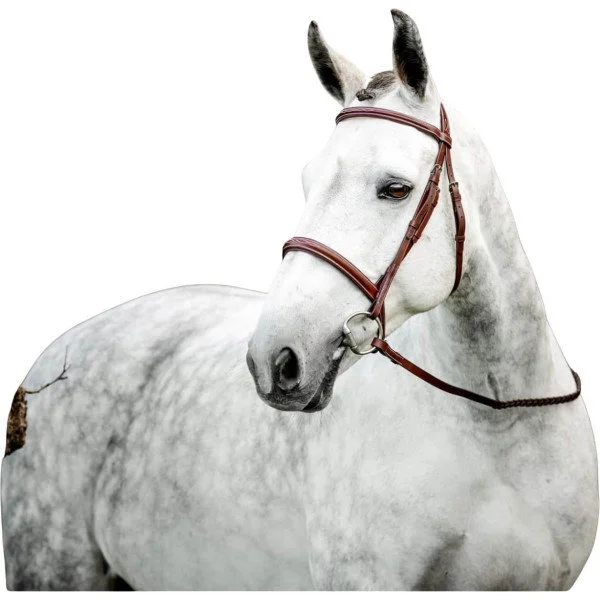 fundis-equestrian202607250530383328569
