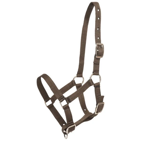 fundis-equestrian202607250531073328629