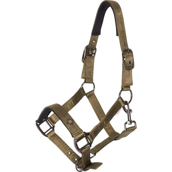 fundis-equestrian202607250531173328651