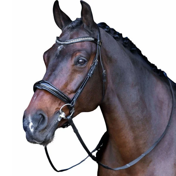 fundis-equestrian202607250534313329001