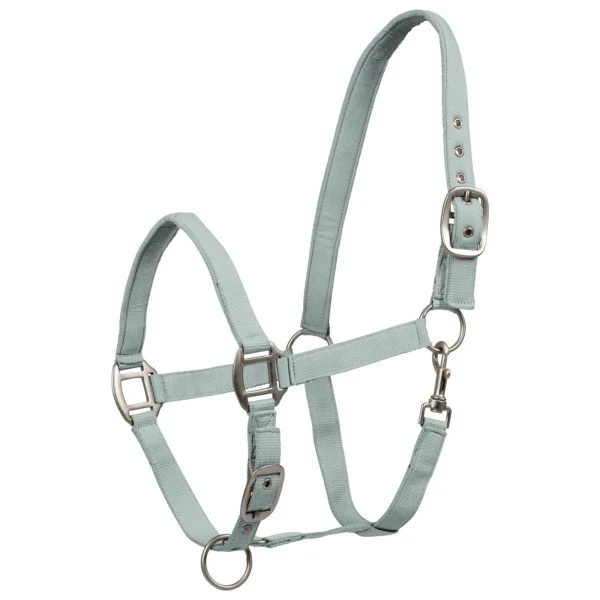 fundis-equestrian202607250537383329308
