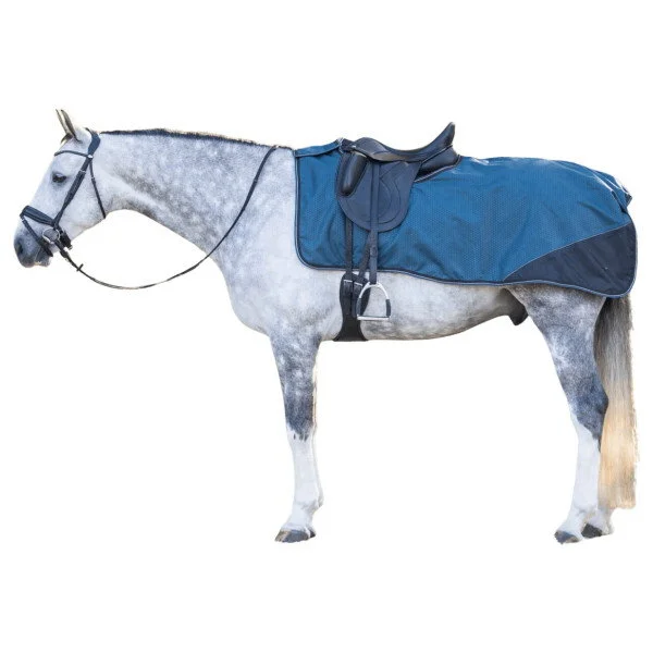 fundis-equestrian202607250539163329485