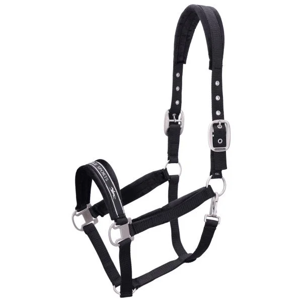 fundis-equestrian202607250542593329921