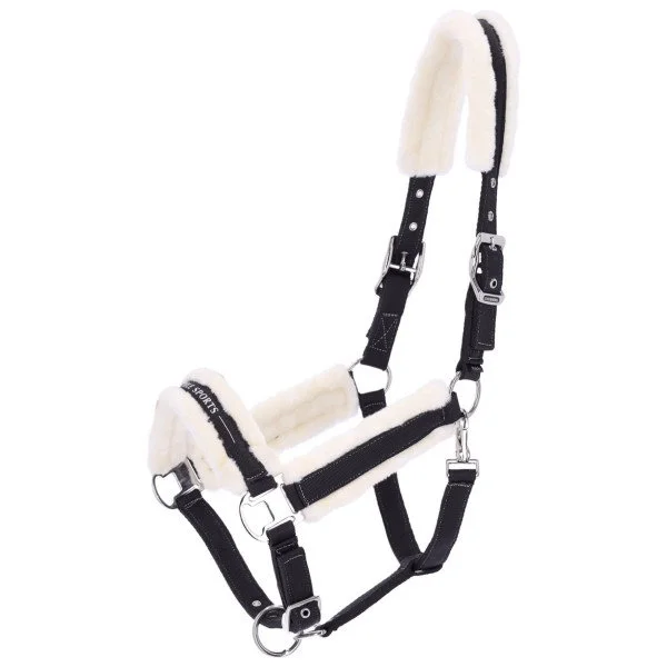 fundis-equestrian202607250543063329934